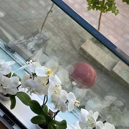 Apartamento Estudio Parking Centro Puerta Del Sol Vigo