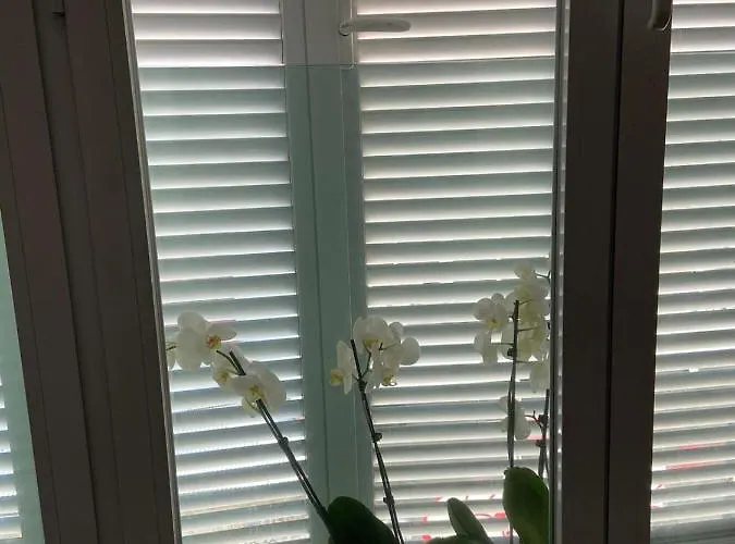 Appartement Estudio Parking Centro Puerta Del Sol *