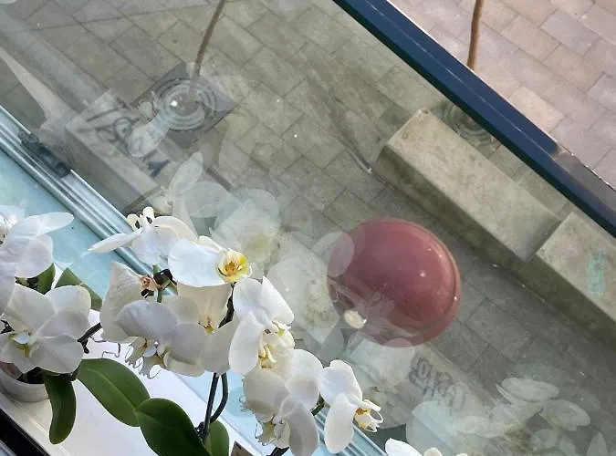 Appartement Estudio Parking Centro Puerta Del Sol Vigo